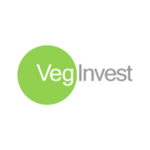 veginvest