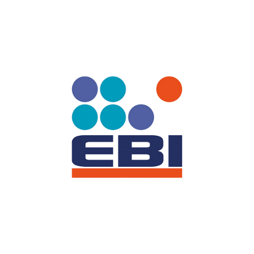 ebi